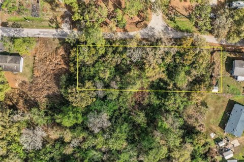 Terreno en venta en Lakeland, Florida № 2229479 - foto 8