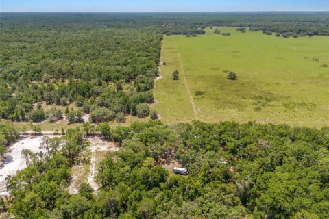 Terreno en venta en Dunnellon, Florida № 1751818 - foto 11