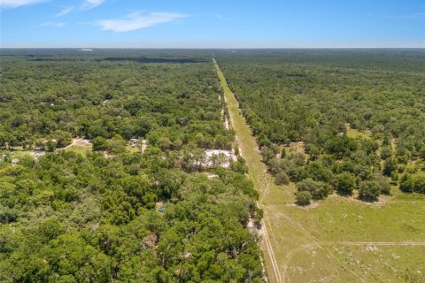 Terreno en venta en Dunnellon, Florida № 1751818 - foto 13