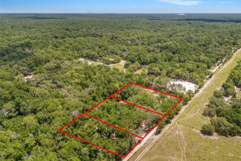 Terreno en venta en Dunnellon, Florida № 1751818 - foto 2