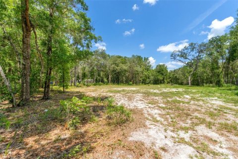 Terreno en venta en Dunnellon, Florida № 1751818 - foto 18