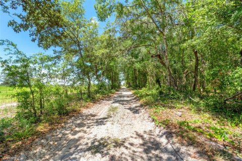 Terreno en venta en Dunnellon, Florida № 1751818 - foto 19
