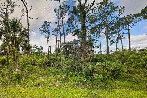 Land in Port Charlotte, Florida № 1721014 - photo 1