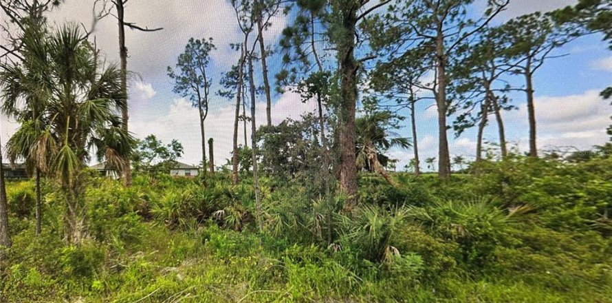 Land in Port Charlotte, Florida № 1721014