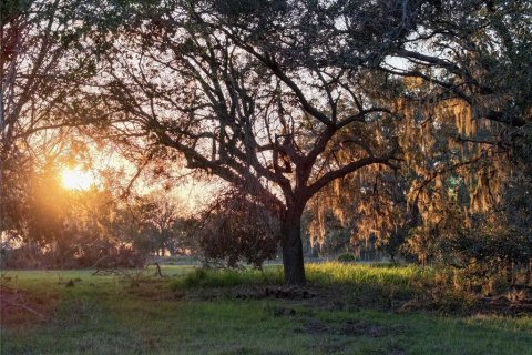 Land in Fort Meade, Florida № 1512450 - photo 19