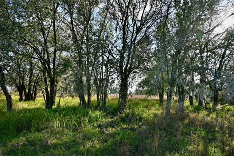 Land in Fort Meade, Florida № 1512450 - photo 16