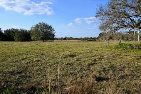 Land in Fort Meade, Florida № 1512450 - photo 15