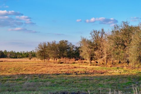 Land in Fort Meade, Florida № 1512450 - photo 24