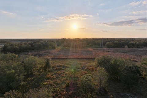Land in Fort Meade, Florida № 1512450 - photo 2