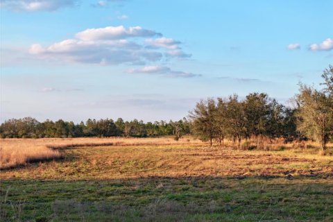 Land in Fort Meade, Florida № 1512450 - photo 7