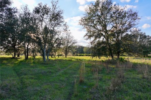 Land in Fort Meade, Florida № 1512450 - photo 25