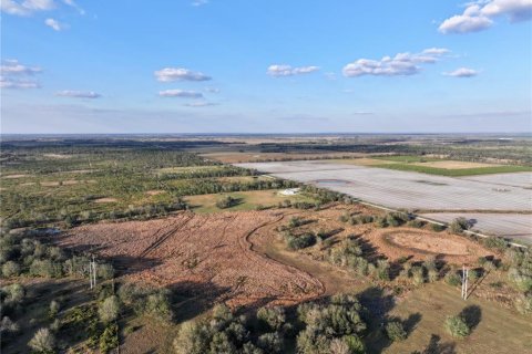 Land in Fort Meade, Florida № 1512450 - photo 18