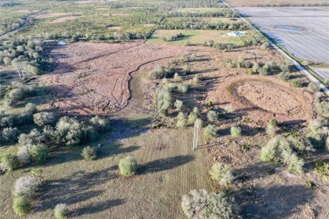 Land in Fort Meade, Florida № 1512450 - photo 23