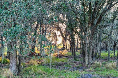 Land in Fort Meade, Florida № 1512450 - photo 27