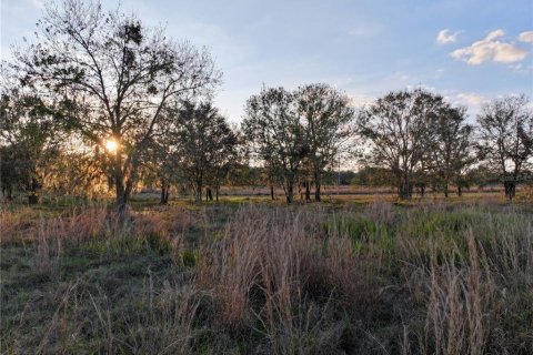 Land in Fort Meade, Florida № 1512450 - photo 1