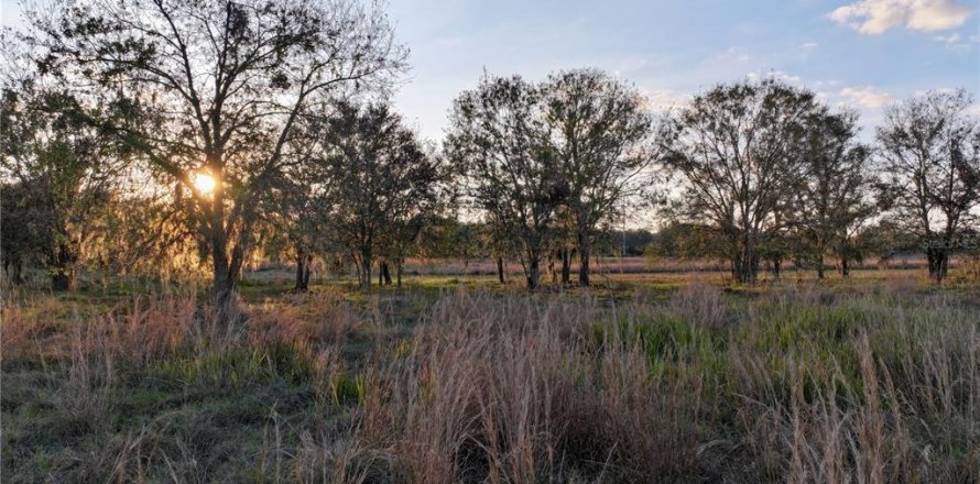 Terreno en Fort Meade, Florida № 1512450