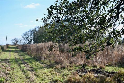 Land in Fort Meade, Florida № 1512450 - photo 26