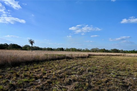 Land in Fort Meade, Florida № 1512450 - photo 13