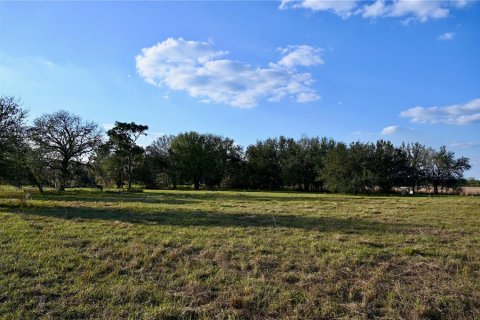 Land in Fort Meade, Florida № 1512450 - photo 30