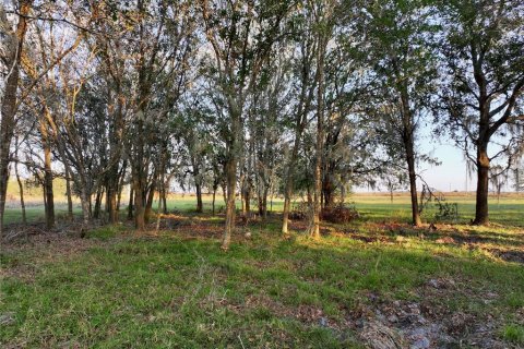 Land in Fort Meade, Florida № 1512450 - photo 29