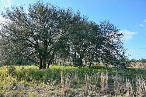 Land in Fort Meade, Florida № 1512450 - photo 10