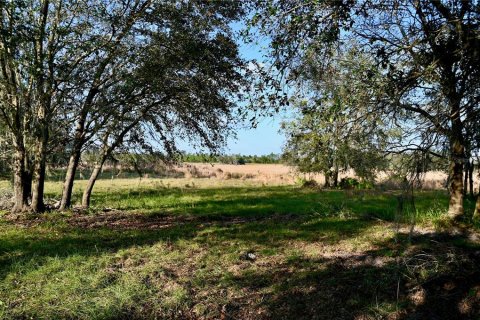 Land in Fort Meade, Florida № 1512450 - photo 6