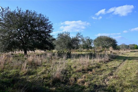 Land in Fort Meade, Florida № 1512450 - photo 17