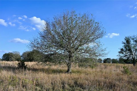 Land in Fort Meade, Florida № 1512450 - photo 21