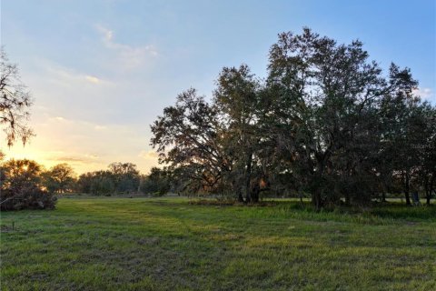 Land in Fort Meade, Florida № 1512450 - photo 3