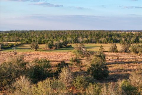 Land in Fort Meade, Florida № 1512450 - photo 22