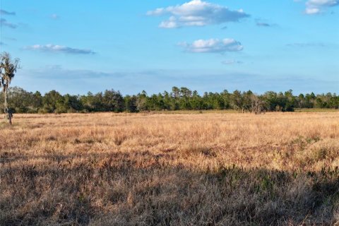 Land in Fort Meade, Florida № 1512450 - photo 28