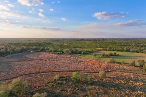 Land in Fort Meade, Florida № 1512450 - photo 5
