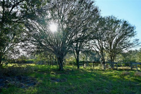 Land in Fort Meade, Florida № 1512450 - photo 8