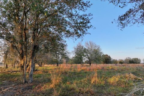 Land in Fort Meade, Florida № 1512450 - photo 11