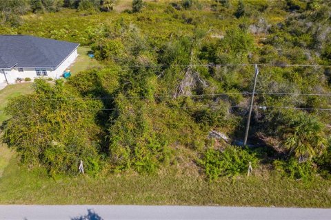 Terrain à vendre à Punta Gorda, Floride № 1561445 - photo 8