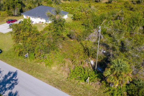 Terrain à vendre à Punta Gorda, Floride № 1561445 - photo 7