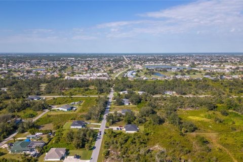 Terrain à vendre à Punta Gorda, Floride № 1561445 - photo 6