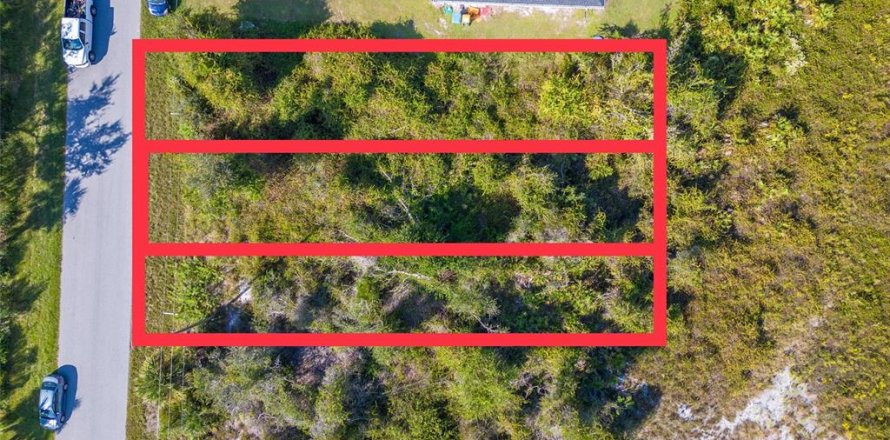 Terrain à Punta Gorda, Floride № 1561445