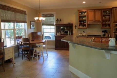 House in Tampa, Florida 4 bedrooms, 256.97 sq.m. № 2209928 - photo 3