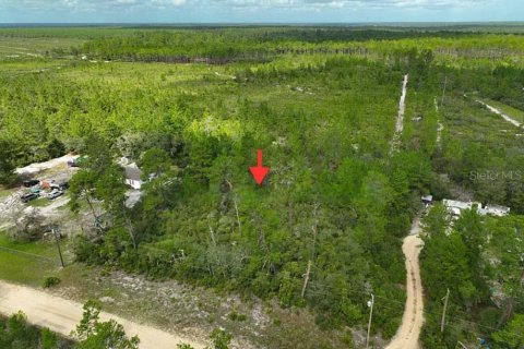Land in Florahome, Florida № 2164356