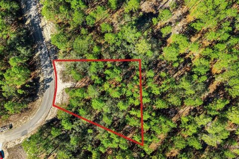 Land in Citrus Springs, Florida № 2369370