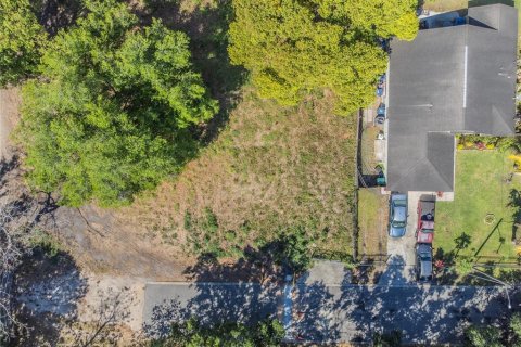 Land in Orlando, Florida № 1615836 - photo 3