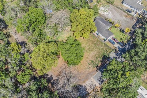 Land in Orlando, Florida № 1615836 - photo 19