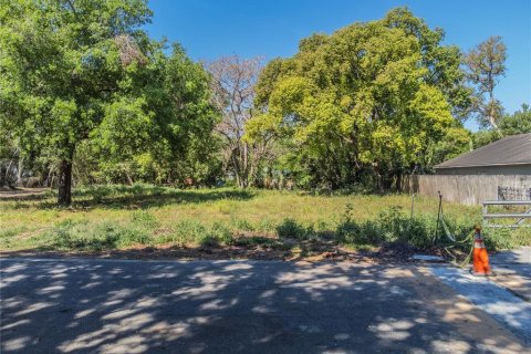 Land in Orlando, Florida № 1615836 - photo 1