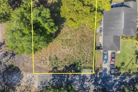 Land in Orlando, Florida № 1615836 - photo 2