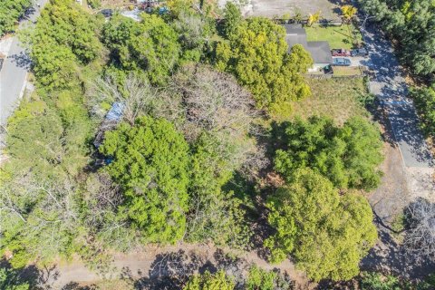 Land in Orlando, Florida № 1615836 - photo 17