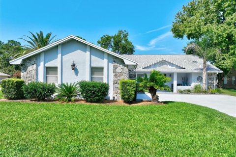 House in Palm Coast, Florida 3 bedrooms, 188.41 sq.m. № 2329180