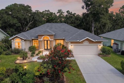 Villa ou maison à Dunnellon, Floride 3 chambres, 255.48 m2 № 2329598