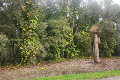 Land in Plantation, Florida № 2001525