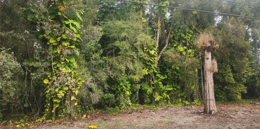 Land in Plantation, Florida № 2001525